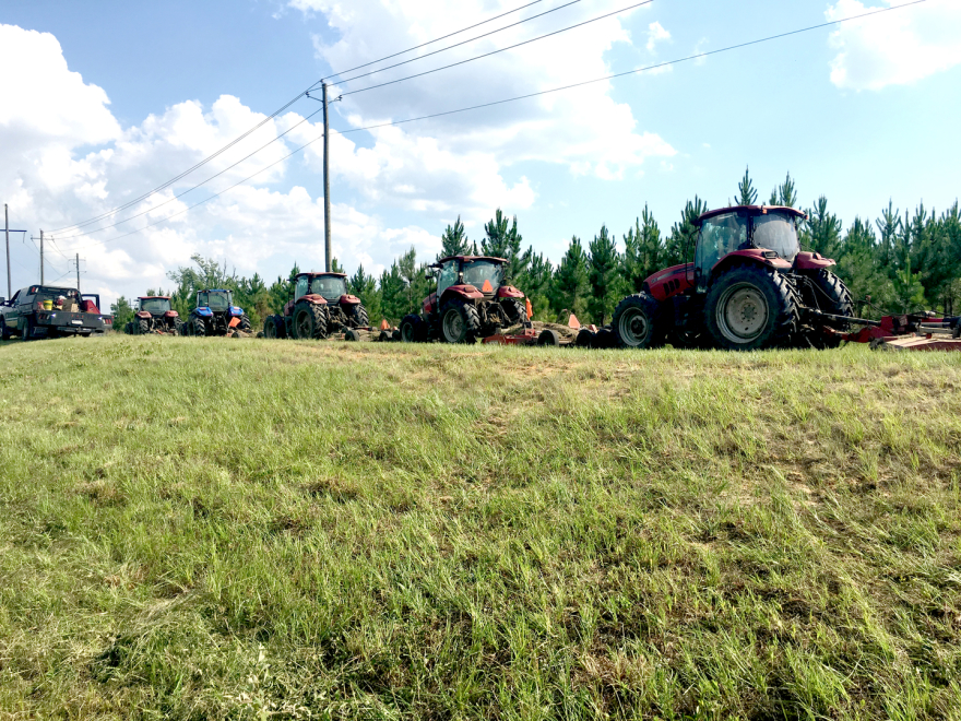 Roadside Mowing